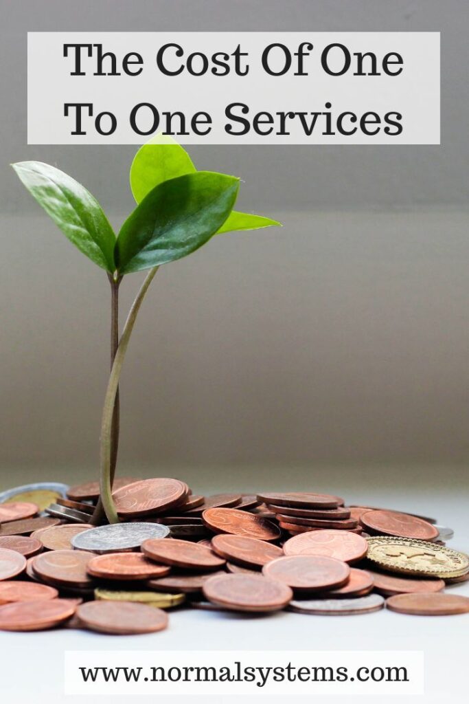 The Cost Of One To One Services